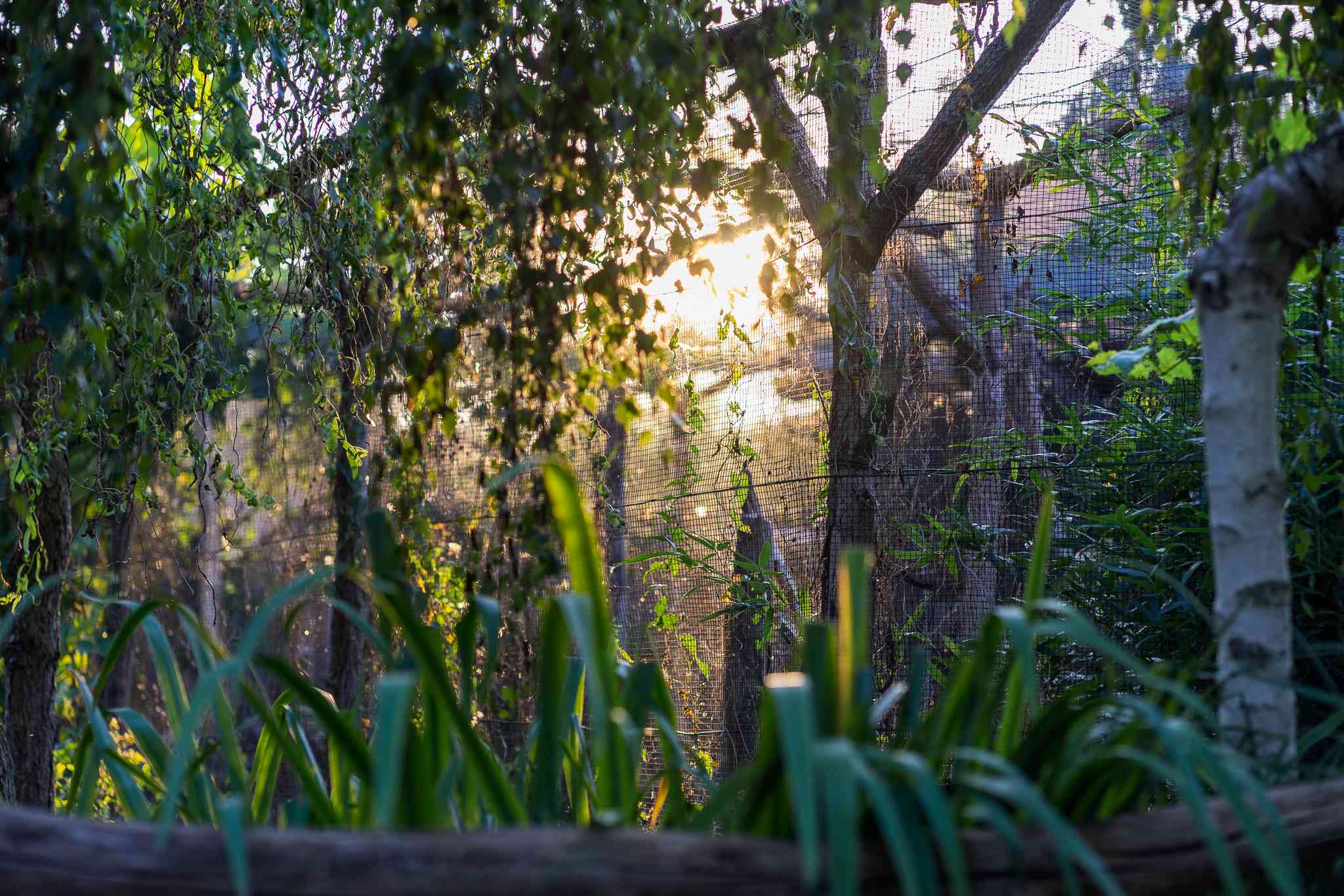 Garten und Umgebung im Eulengarten